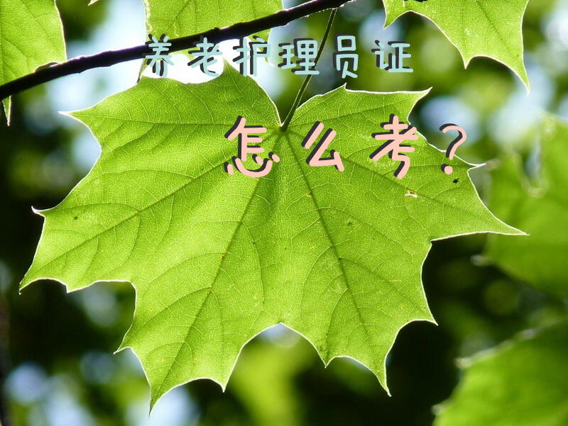 济宁市有考护工证的地方吗？