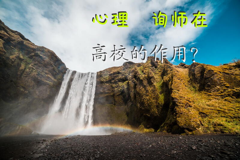 心理咨询师在高校的作用？