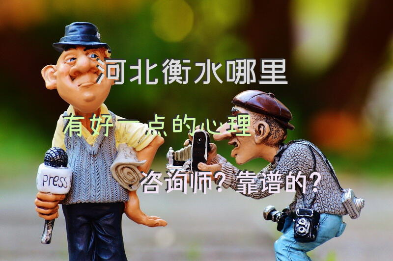 河北衡水哪里有好一点的心理咨询师？靠谱的？