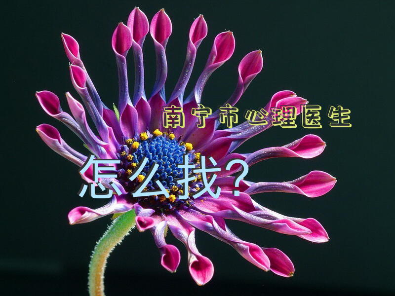 南宁市心理医生怎么找？