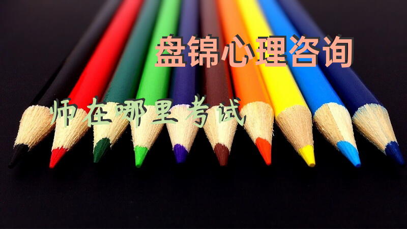 盘锦心理咨询师在哪里考试