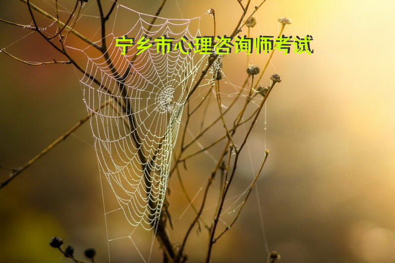 宁乡市心理咨询师考试