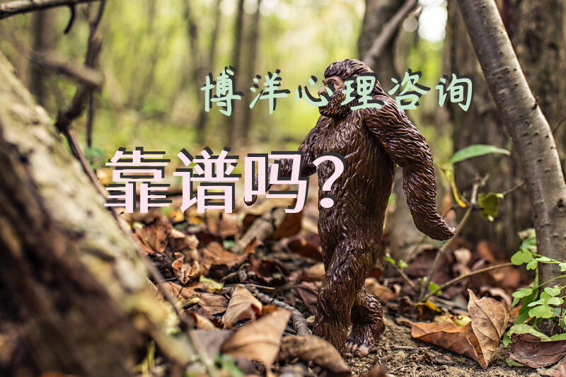 博洋心理咨询靠谱吗？