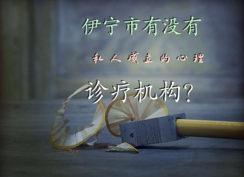 伊宁市有没有私人成立的心理诊疗机构？