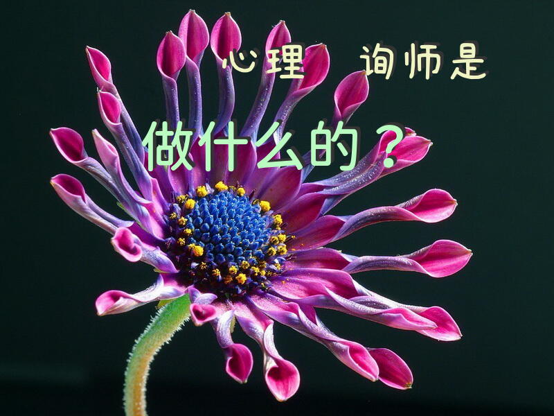 成都有没有做交往障碍心理咨询的机构？
