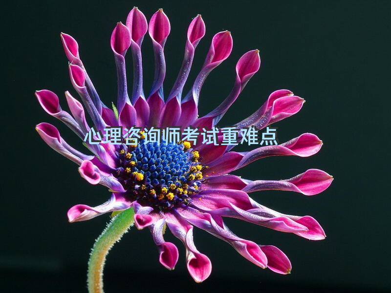 心理咨询师考试重难点