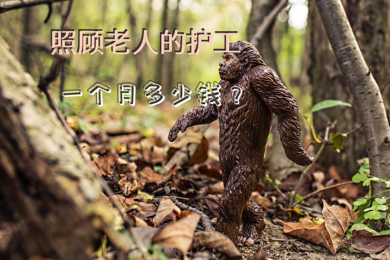 照顾老人的护工一个月多少钱？护工收费标准及费用？