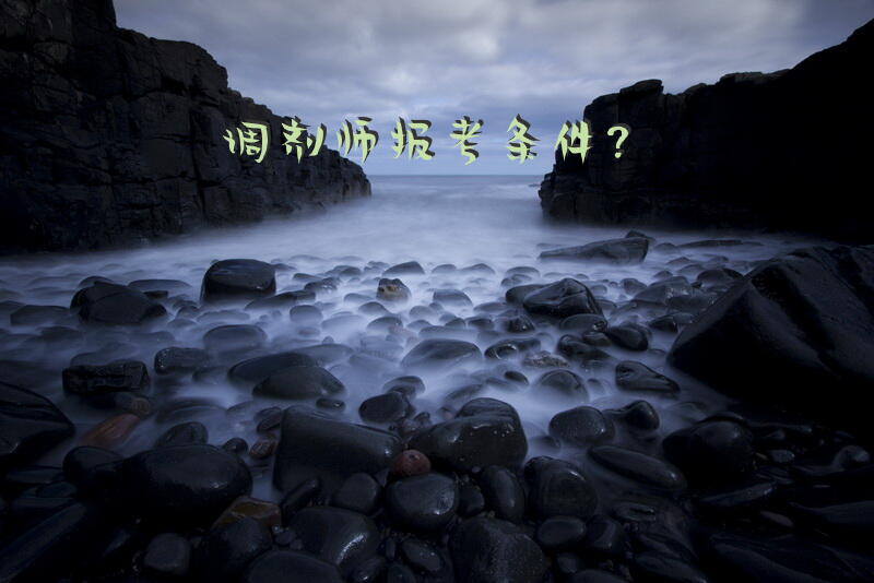 调剂师报考条件？