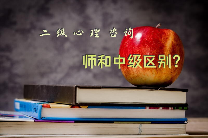 二级心理咨询师和中级区别？