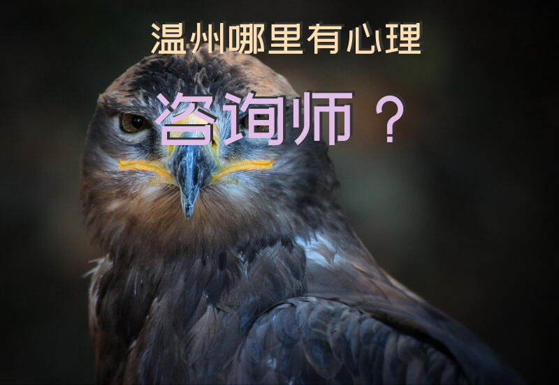 温州哪里有心理咨询师？