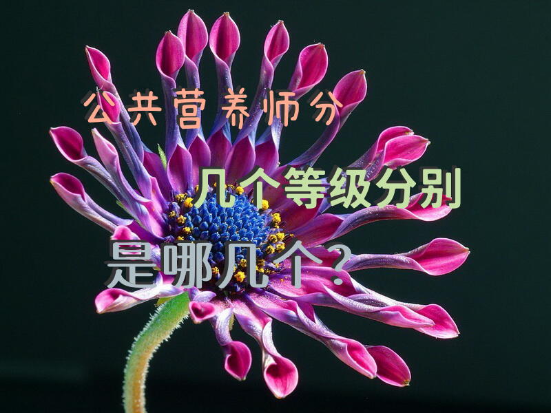 公共营养师分几个等级，分别是哪几个？