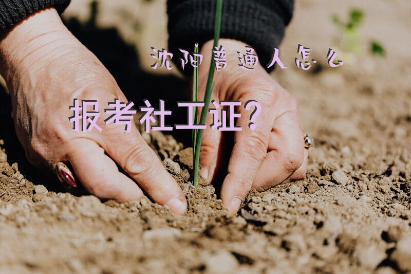 沈阳普通人怎么报考社工证？
