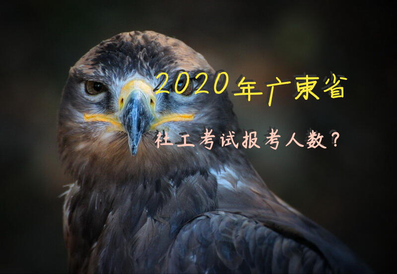 2020年广东省社工考试报考人数？