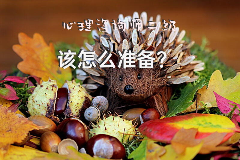 心理咨询师二级该怎么准备？