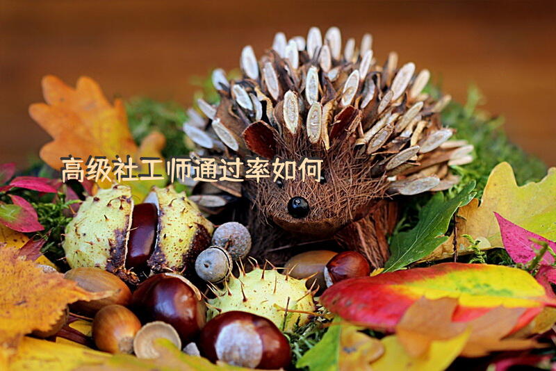高级社工师通过率如何？