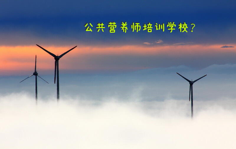 公共营养师培训学校？