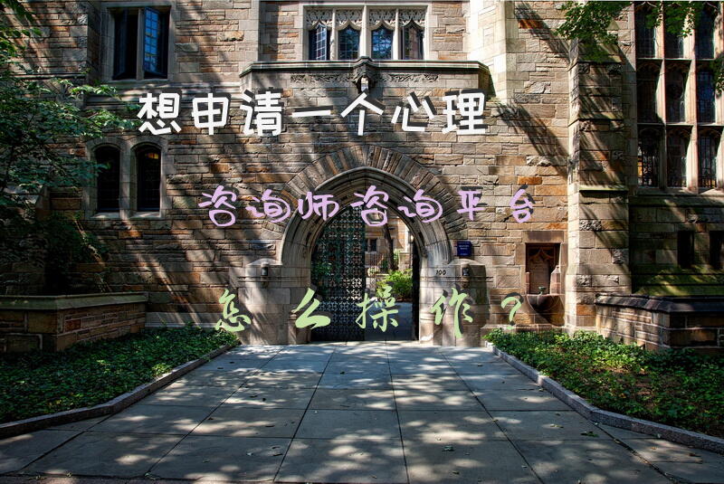 想申请一个心理咨询师咨询平台怎么操作？