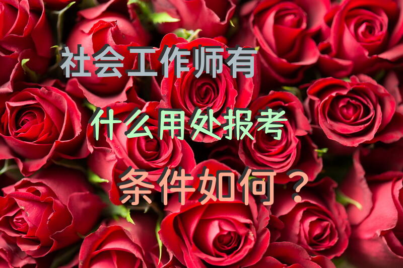 社会工作师有什么用处?报考条件如何？