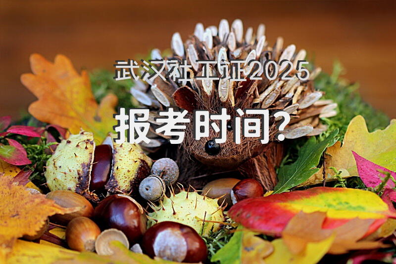 武汉社工证2025报考时间？