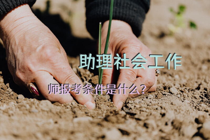 助理社会工作师报考条件是什么？