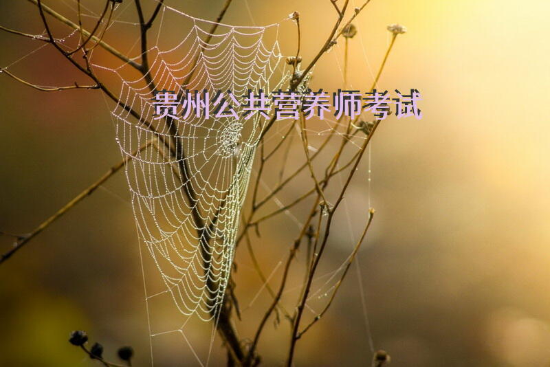 贵州公共营养师考试