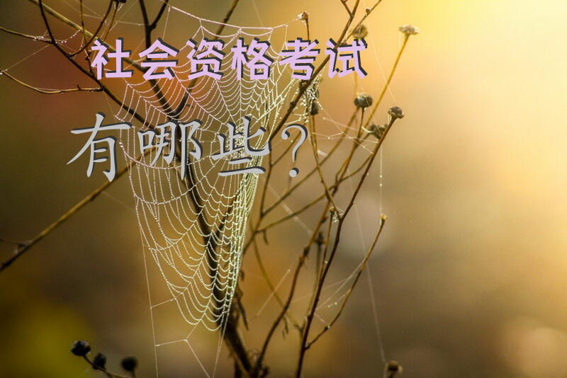 社会资格考试有哪些？