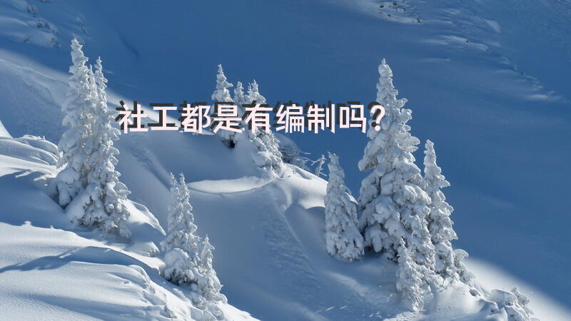 社工都是有编制吗？