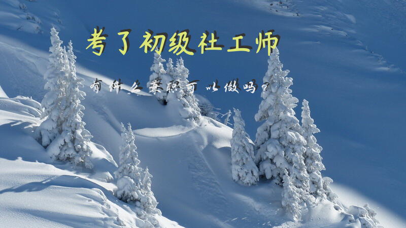 考了初级社工师有什么兼职可以做吗？