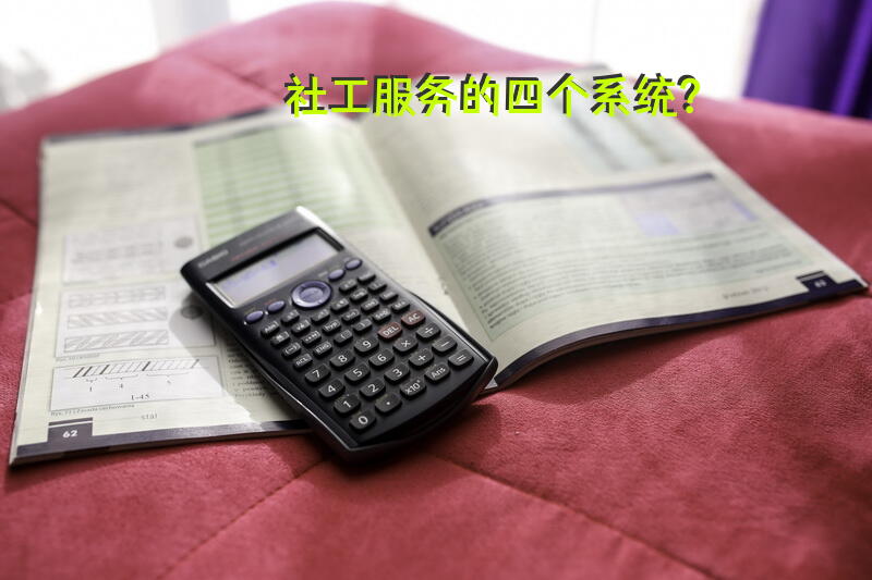社工服务的四个系统？