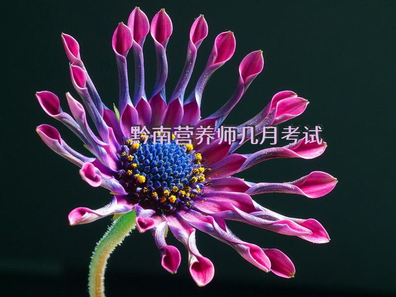 黔南营养师几月考试