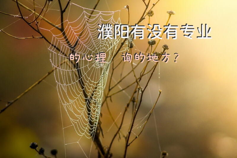 濮阳有没有专业的心理咨询的地方？
