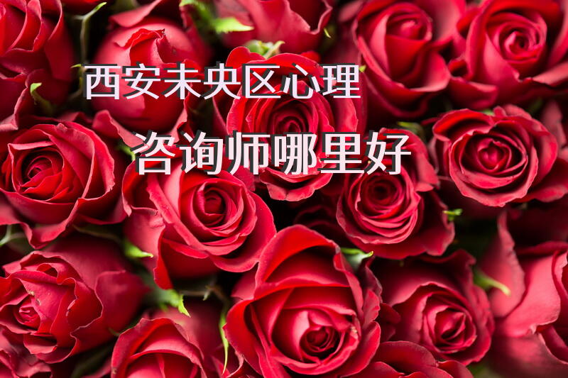 西安未央区心理咨询师哪里好