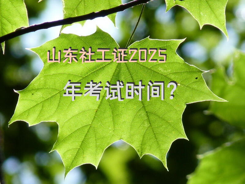 山东社工证2025年考试时间？