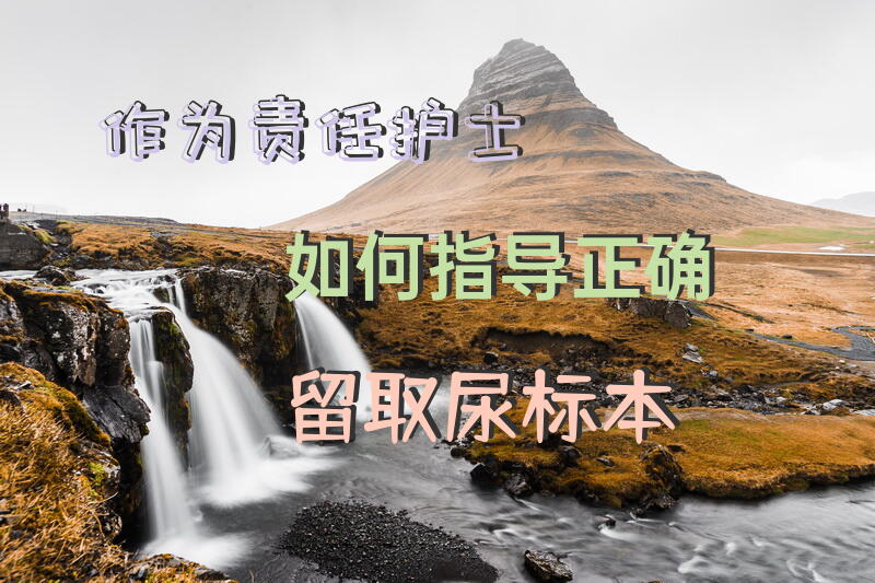作为责任护士如何指导正确留取尿标本？