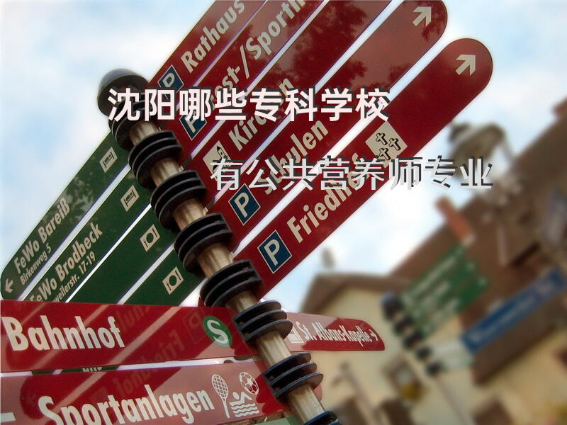 沈阳哪些专科学校有“公共营养师”专业
