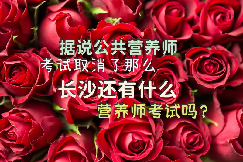 据说公共营养师考试取消了，那么长沙还有什么营养师考试吗？