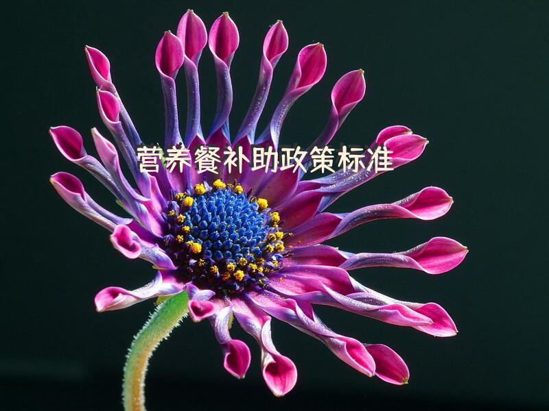 营养餐补助政策标准？