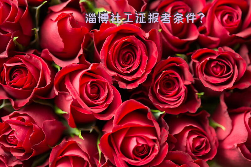 淄博社工证报考条件？