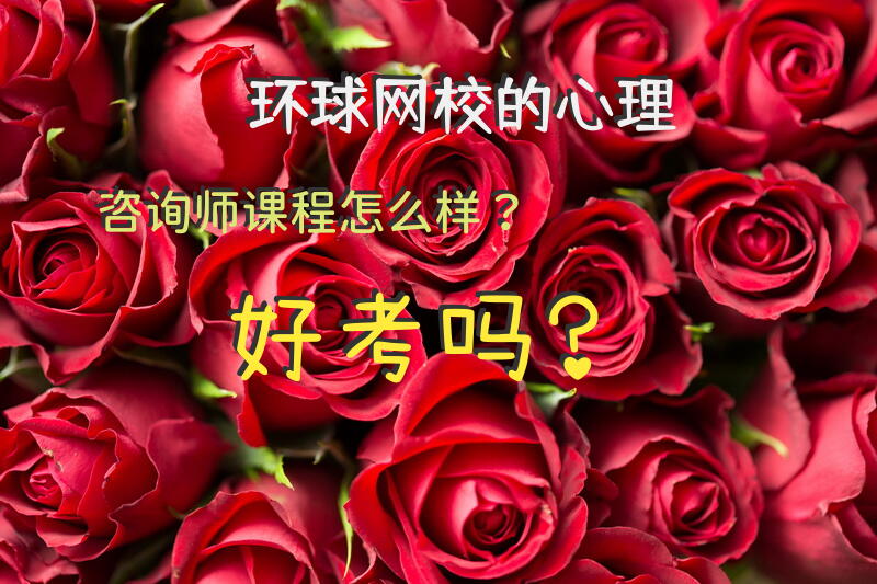 环球网校的心理咨询师课程怎么样？好考吗？