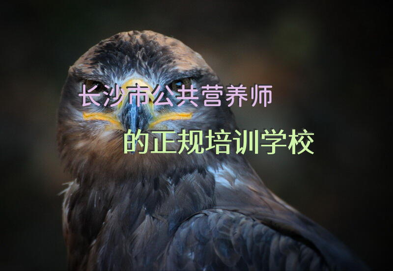 长沙市公共营养师的正规培训学校