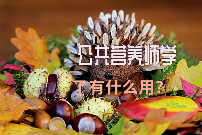 公共营养师学了有什么用？