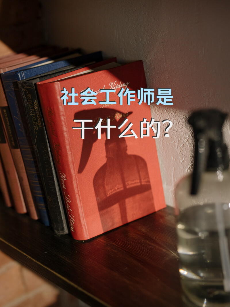 社会工作师是干什么的？
