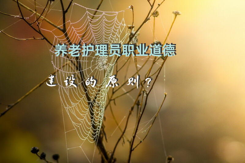 养老护理员职业道德建设的原则？