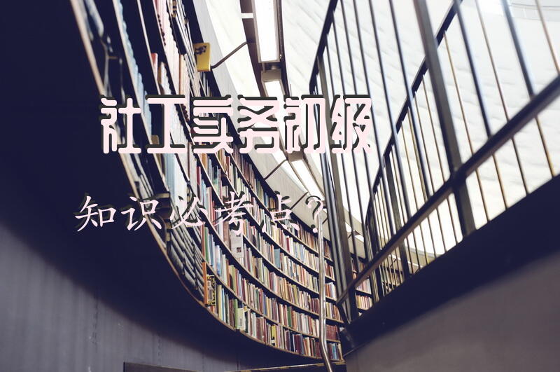 社工实务初级知识必考点？