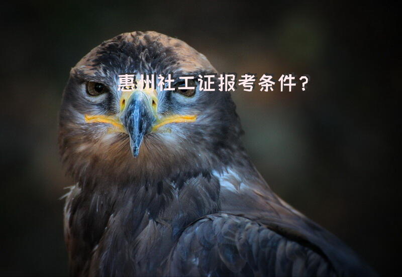 惠州社工证报考条件？