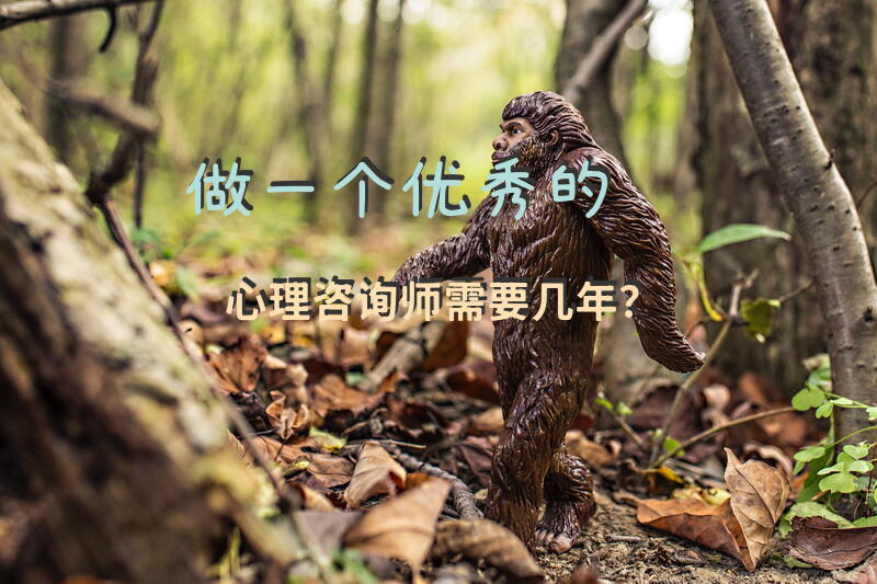做一个优秀的心理咨询师需要几年？