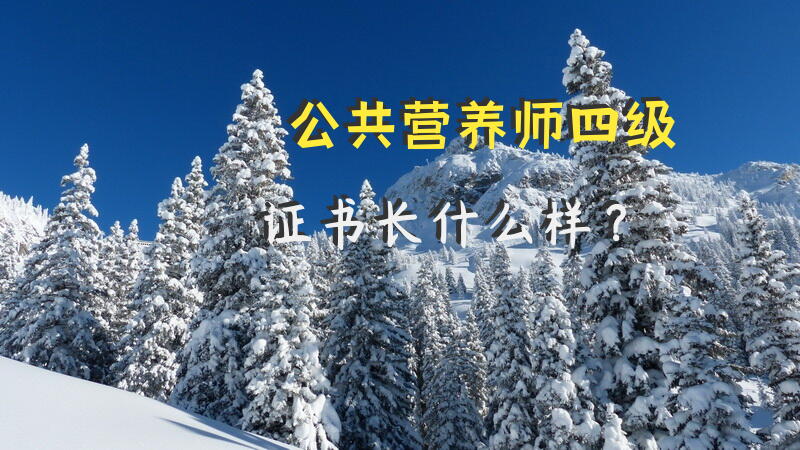 公共营养师四级证书长什么样？