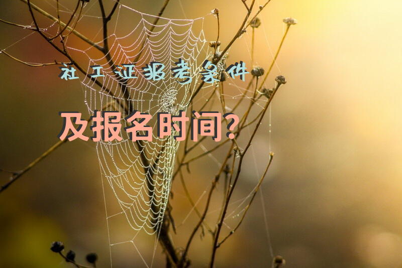 社工证报考条件及报名时间？
