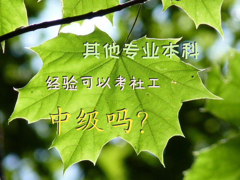 其他专业本科经验可以考社工中级吗？